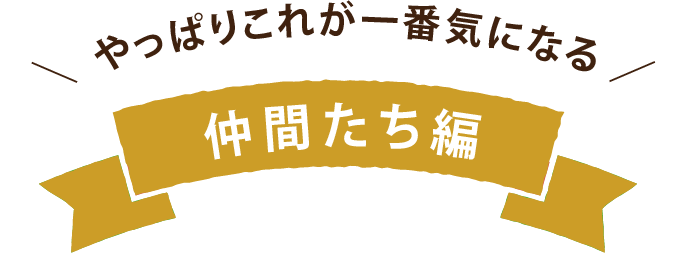 やっぱりこれが一番きになる 仲間たち編