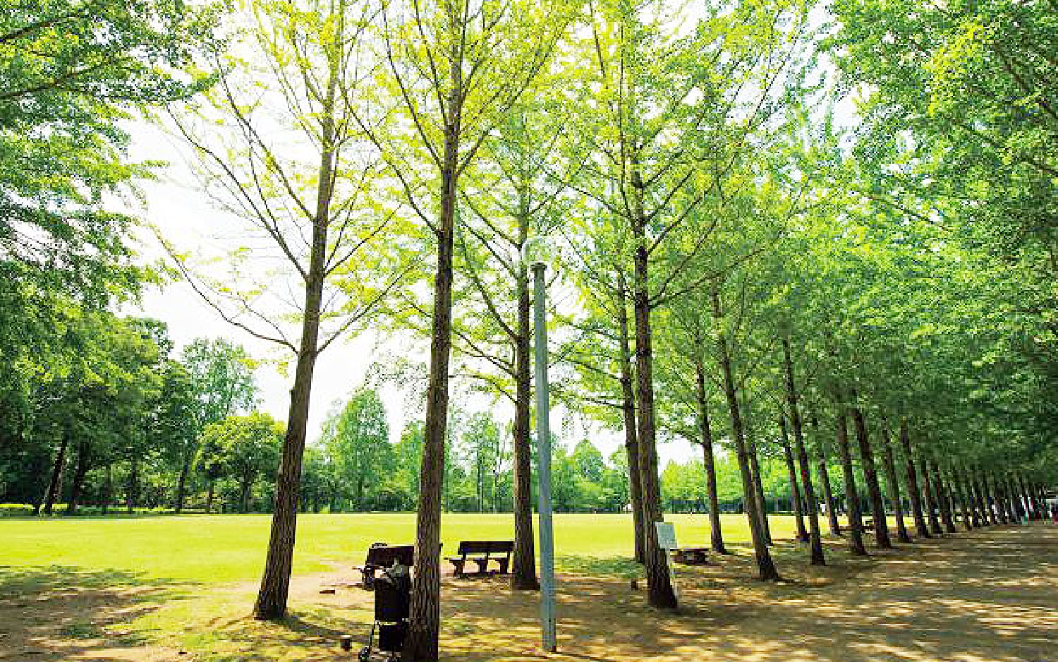 科学万博記念公園