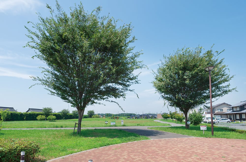 香取台吉祥公園