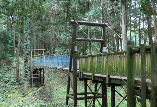 手賀の丘公園キャンプ場