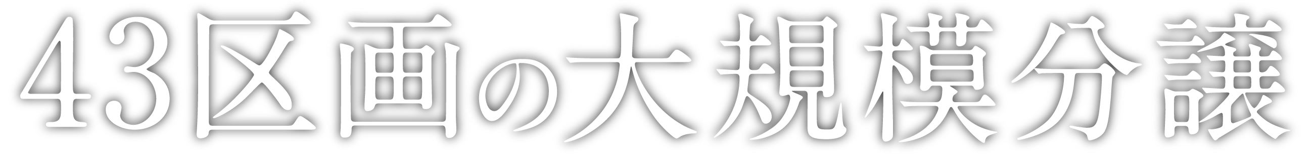 43区画の大規模分譲
