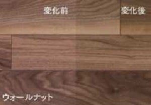 ウォールナット