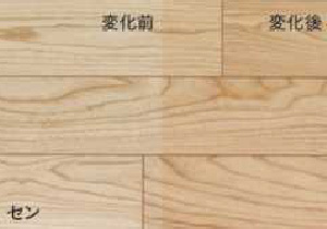 セン