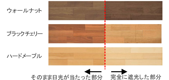 日光等の光による色の変化の比較