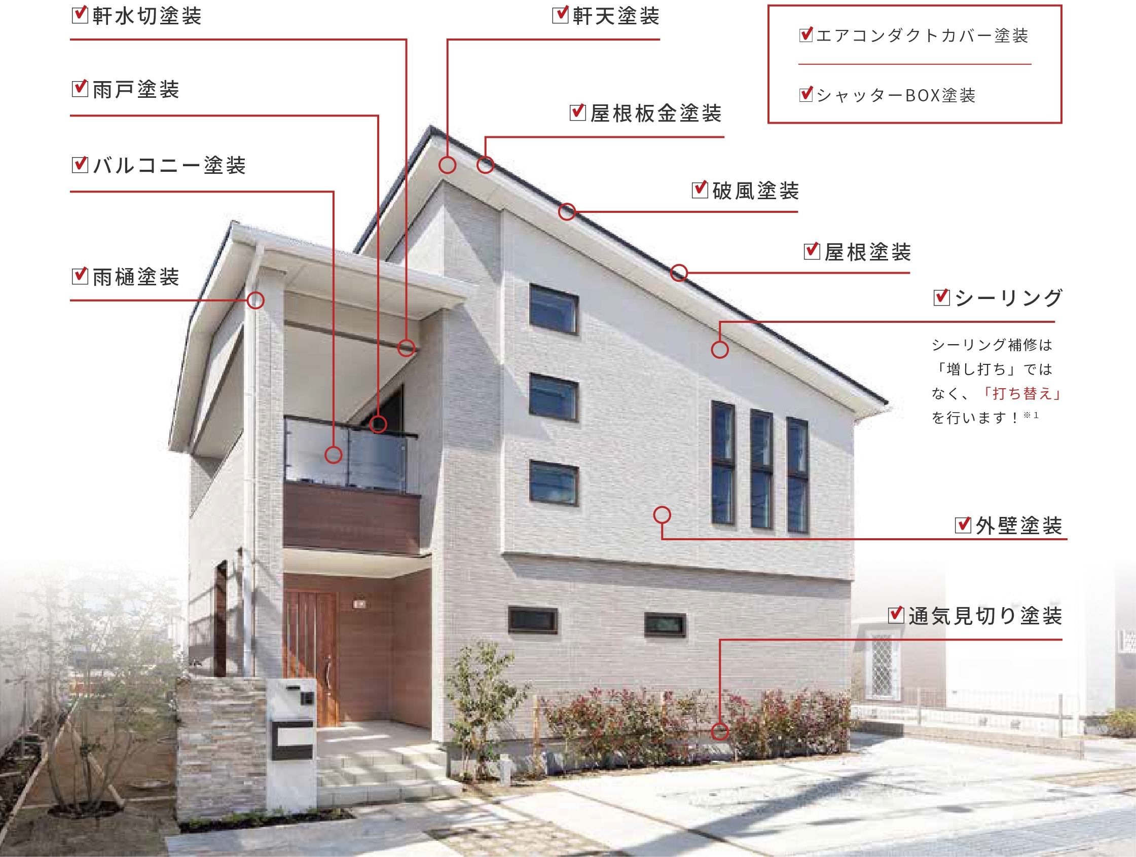 image photo