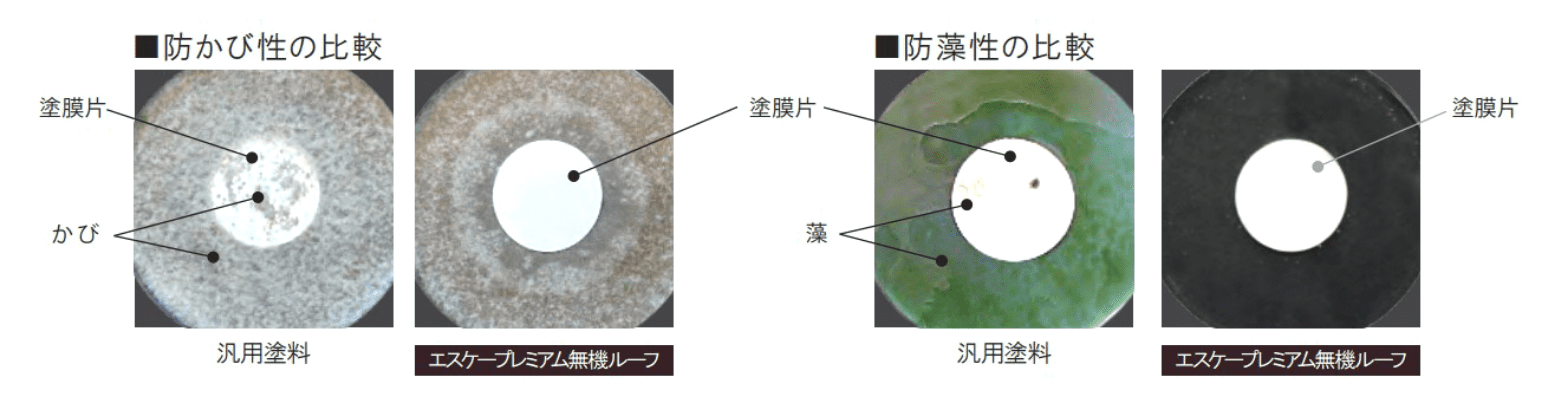 防かび性・防藻性の比較