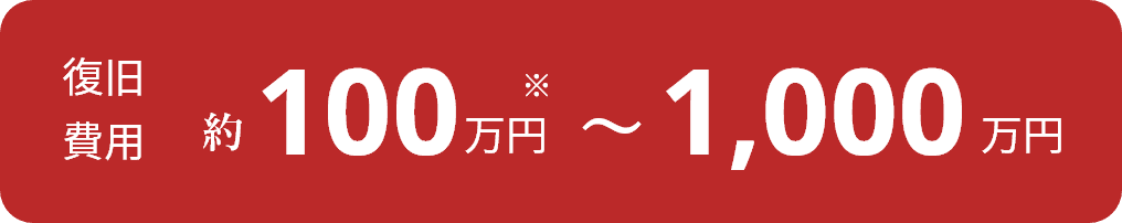 復旧費用 約100万円～1,000万円