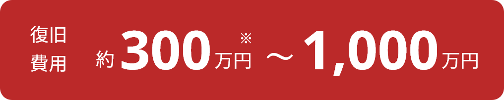 復旧費用 約300万円～1,000万円