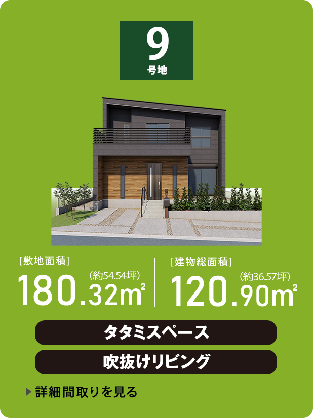 9号地